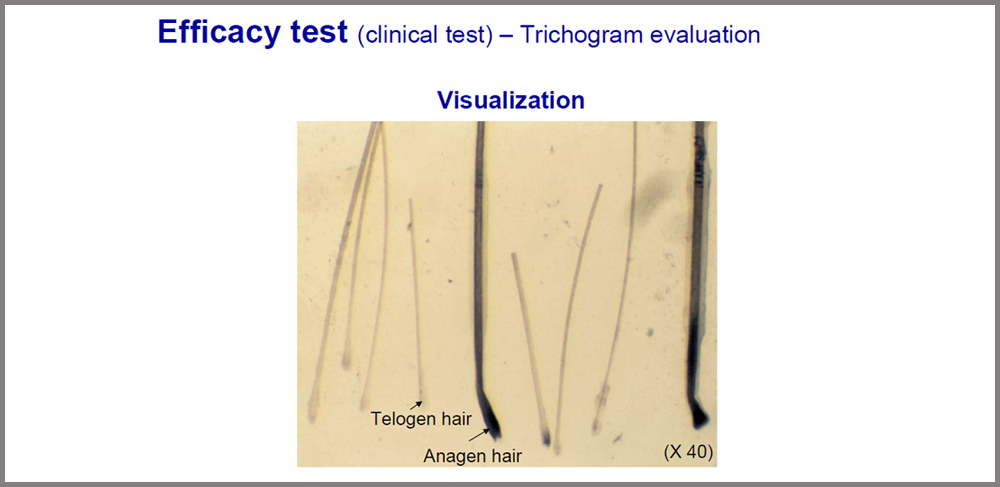trichogram evaluation.jpg